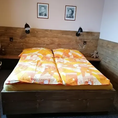 Dana Vichova nad Jizerou