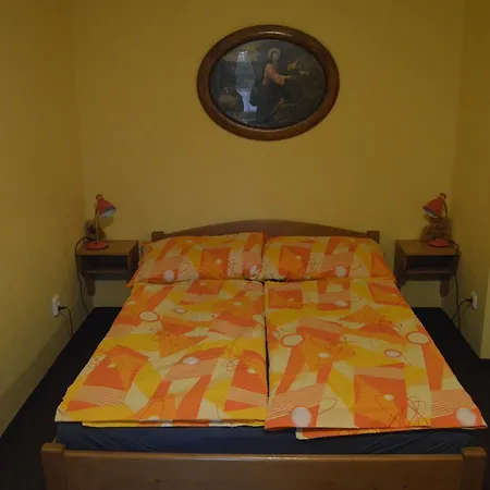 Dana Vichova nad Jizerou