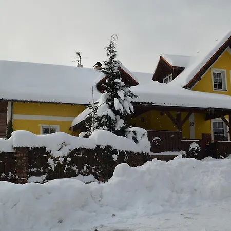 Dana Vichova nad Jizerou