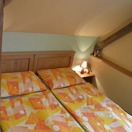 Dana Vichova nad Jizerou