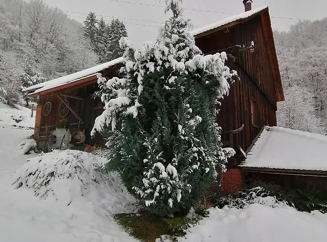 Dana Tatil Evi